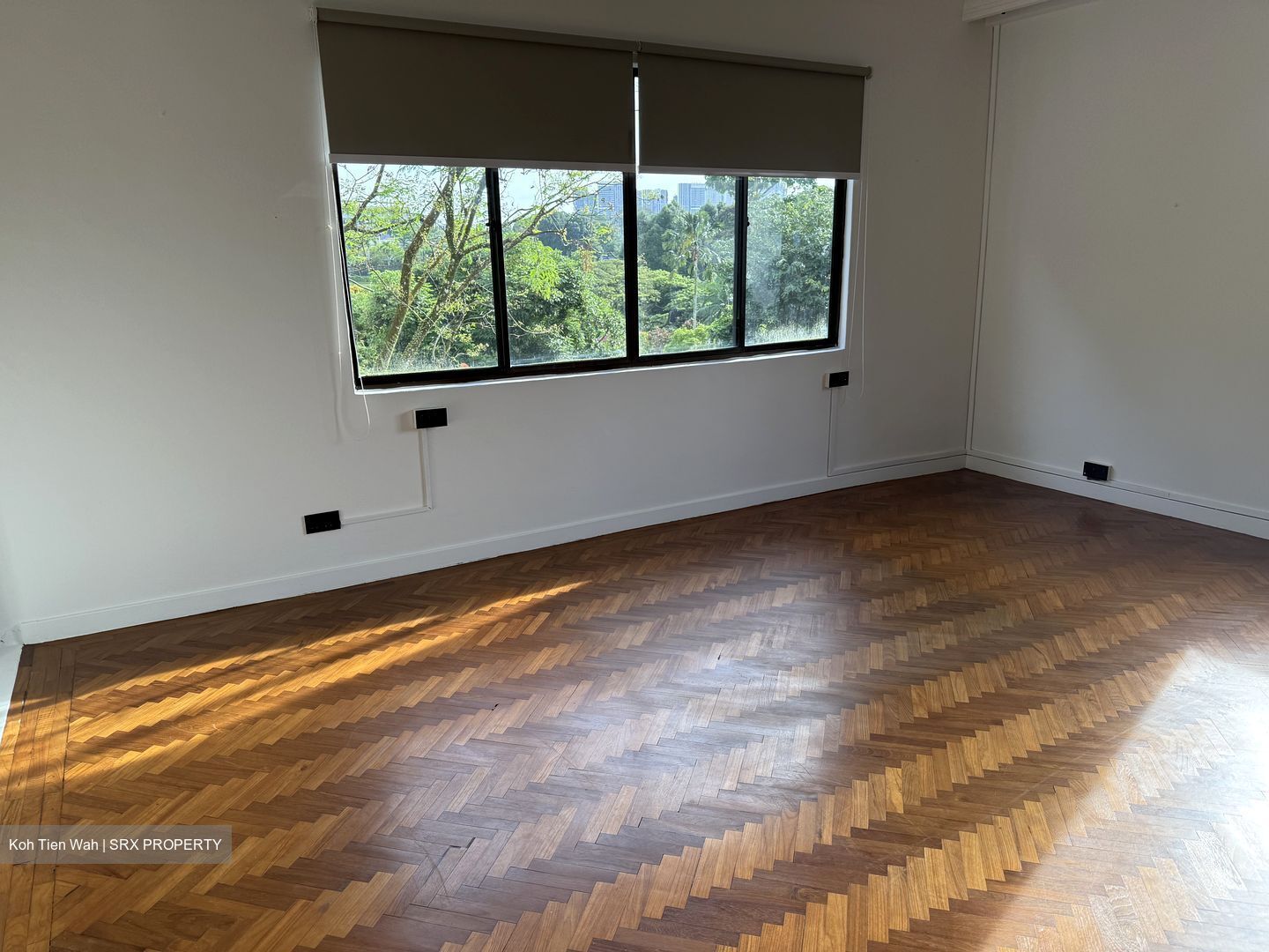 Botanic Gardens View (D10), Apartment #501681481